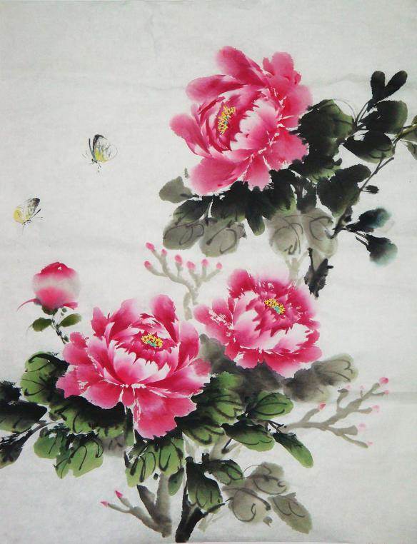 牡丹水粉画
