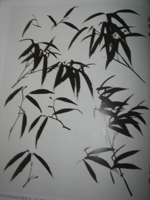 水粉画竹子