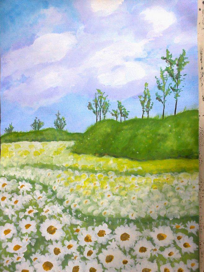 小雏菊水粉画