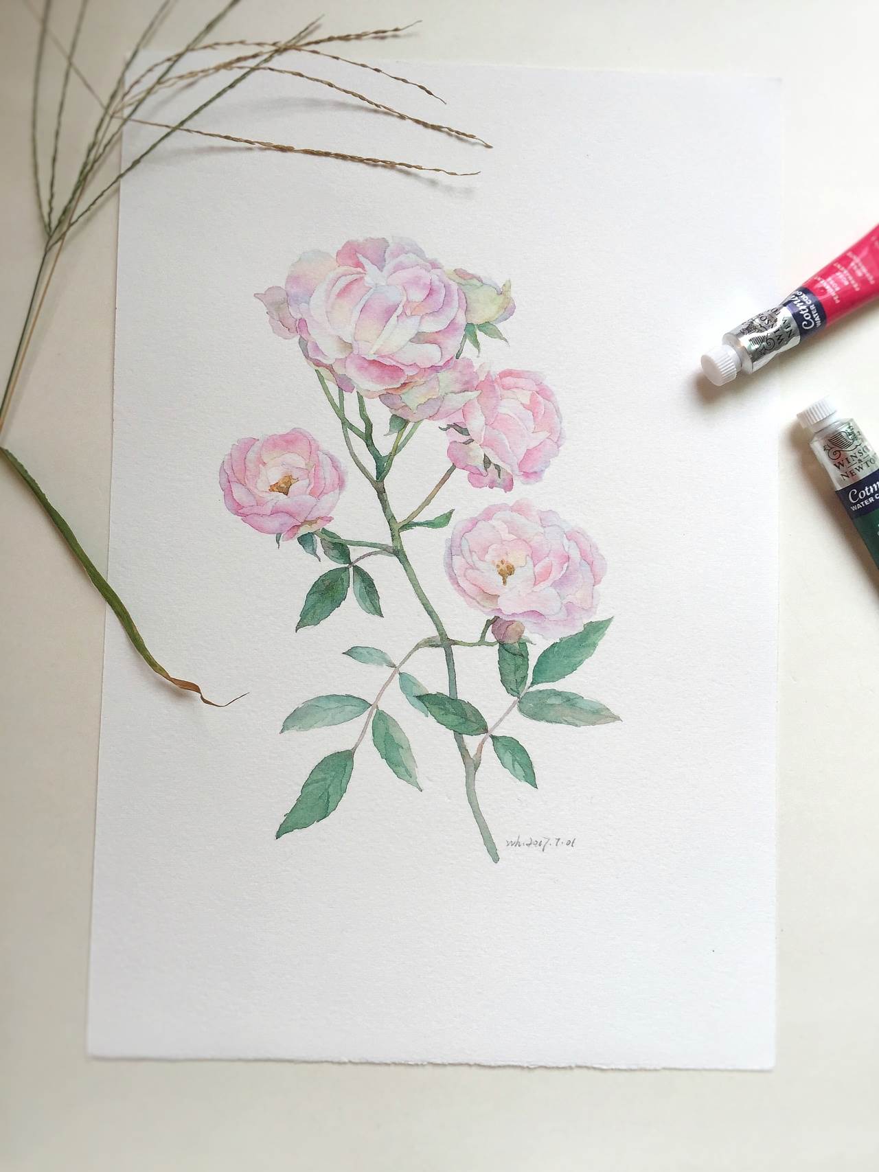 蔷薇水彩画
