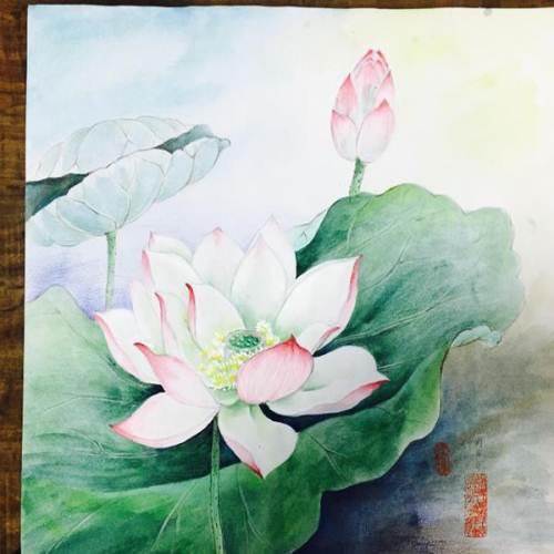 荷花水彩画