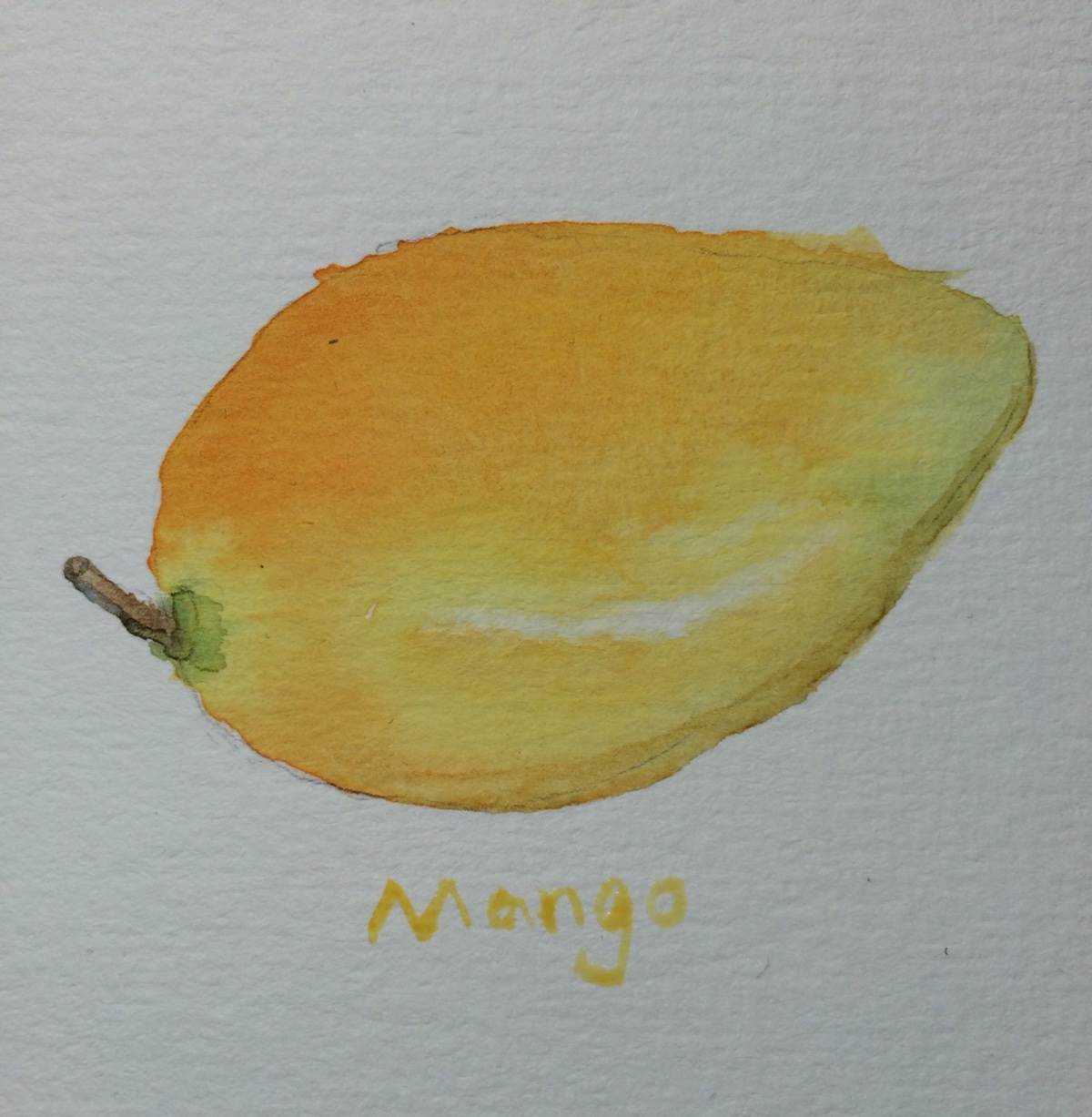 芒果水彩画