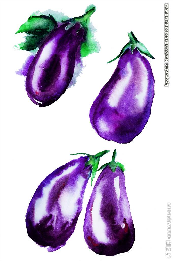 茄子水彩画