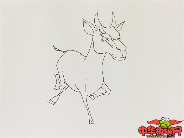 奔跑羚羊怎么画 奔跑羚羊简笔画漂亮卡通-图片3