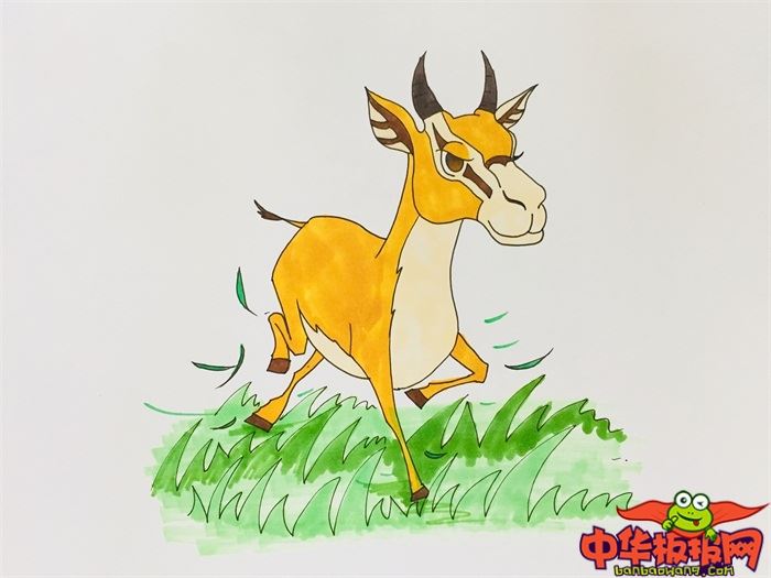 奔跑羚羊怎么画 奔跑羚羊简笔画漂亮卡通-图片5