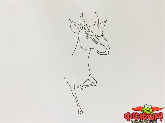 奔跑羚羊怎么画 奔跑羚羊简笔画漂亮卡通-图片2