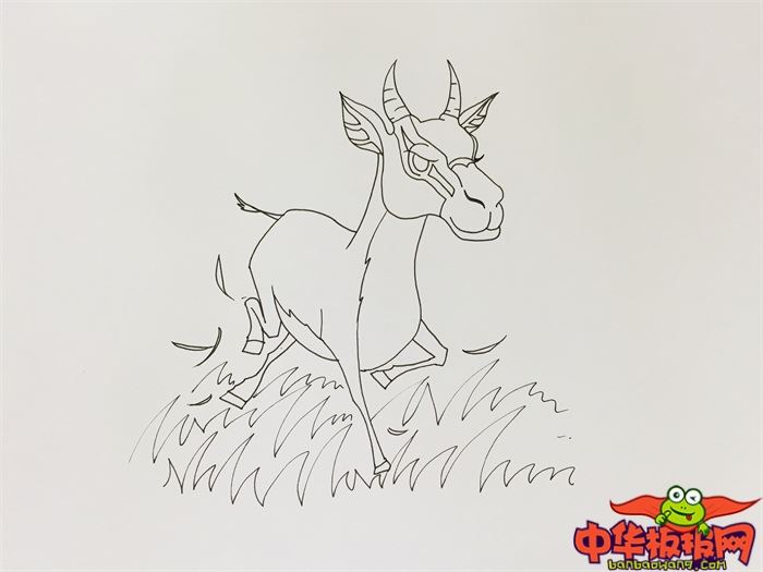 奔跑羚羊怎么画 奔跑羚羊简笔画漂亮卡通-图片4