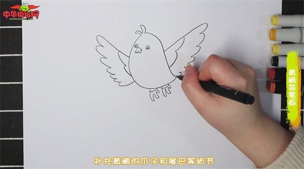 黄鹂怎么画 黄鹂简笔画步骤图