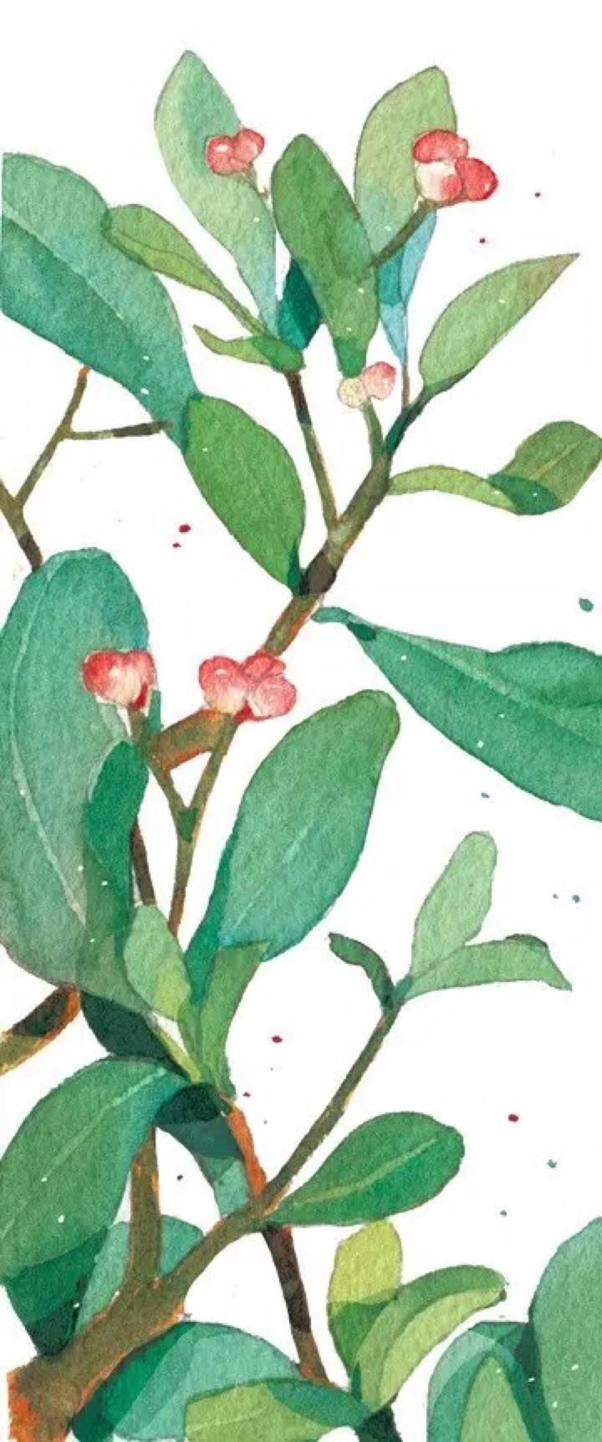 水彩画的简笔画