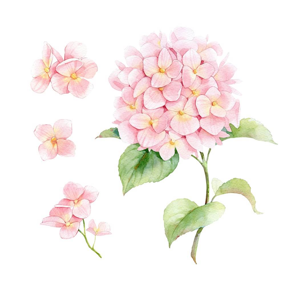 花束水彩画