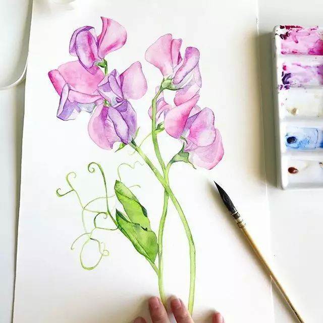 对比色水彩画