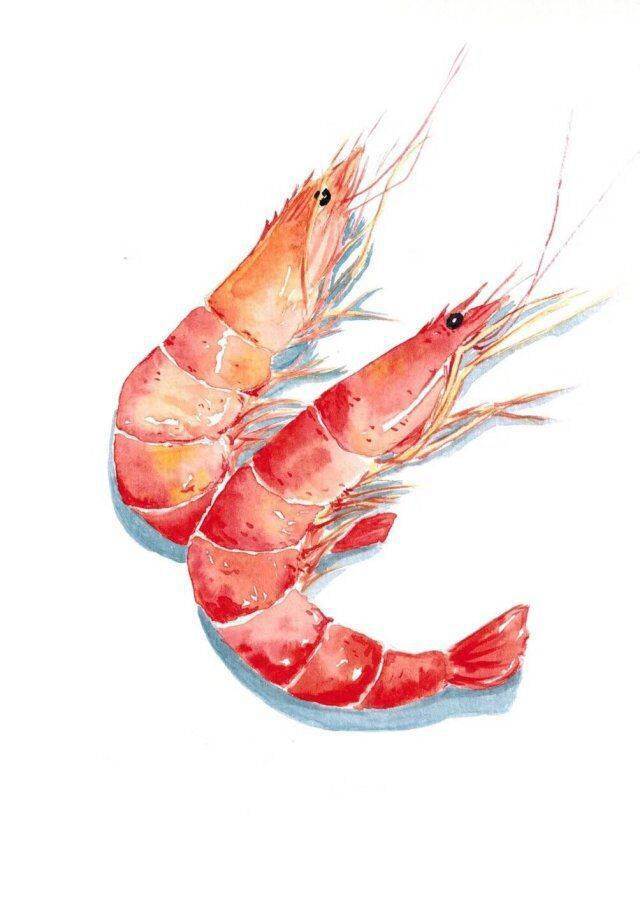烤肉水彩画