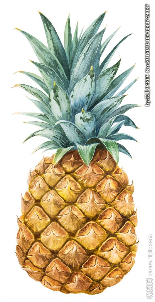 儿童水彩画水果