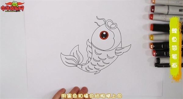 鲤鱼怎么画 鲤鱼简笔画彩色