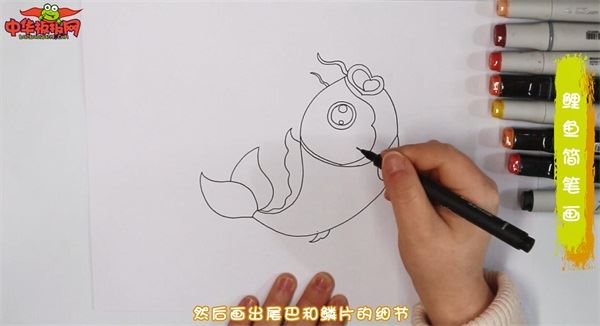 鲤鱼怎么画 鲤鱼简笔画彩色