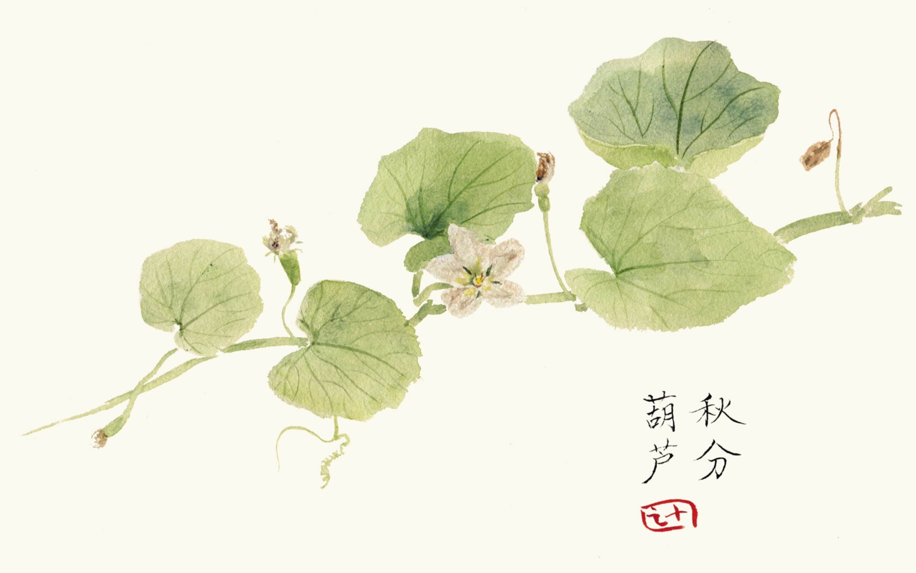 葫芦水彩画