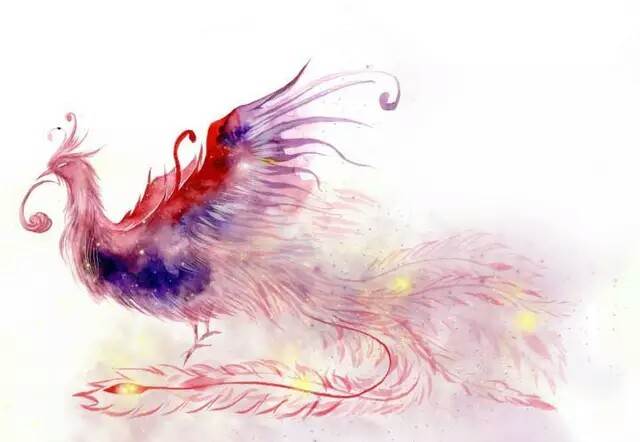 凤凰水彩画