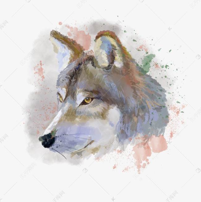 狼水彩画
