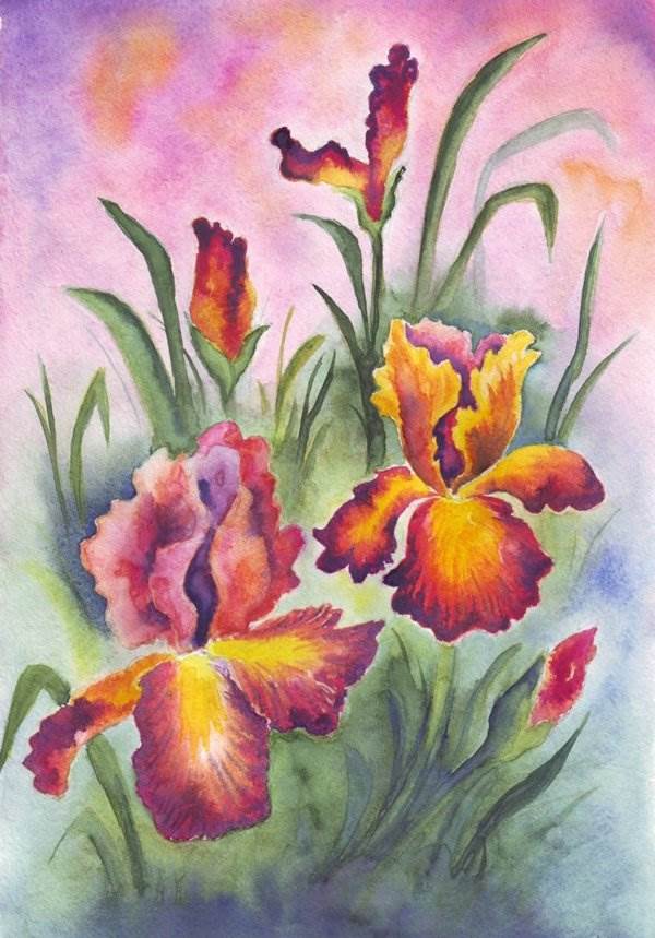 花卉水彩画作品欣赏