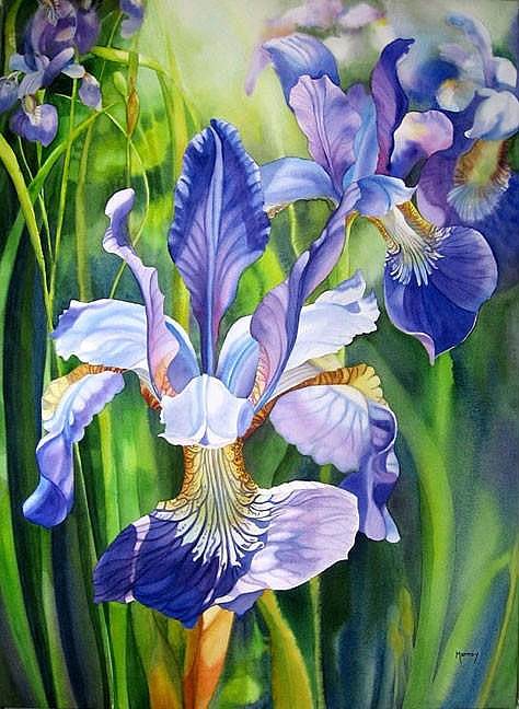 花卉水彩画作品欣赏