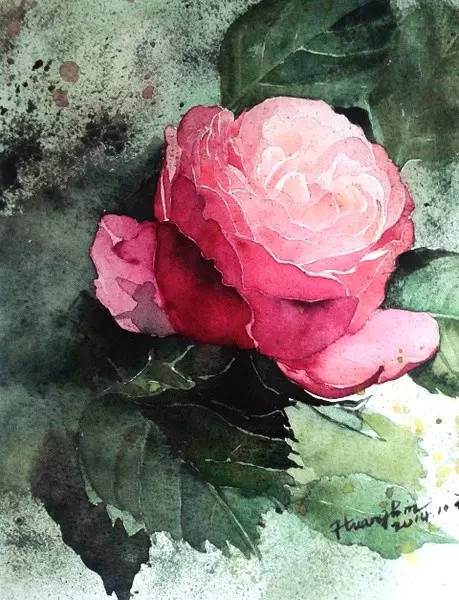 花卉水彩画作品欣赏