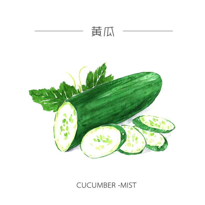 黄瓜水彩画
