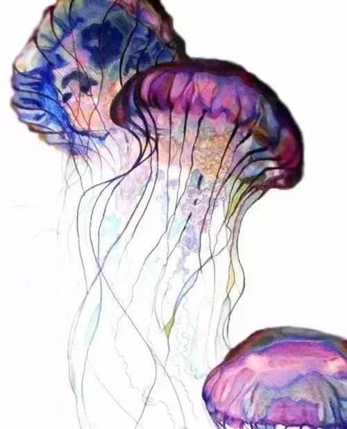 海洋世界水彩画
