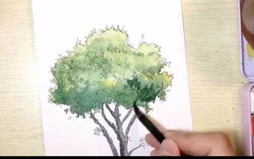 水彩的树怎么画