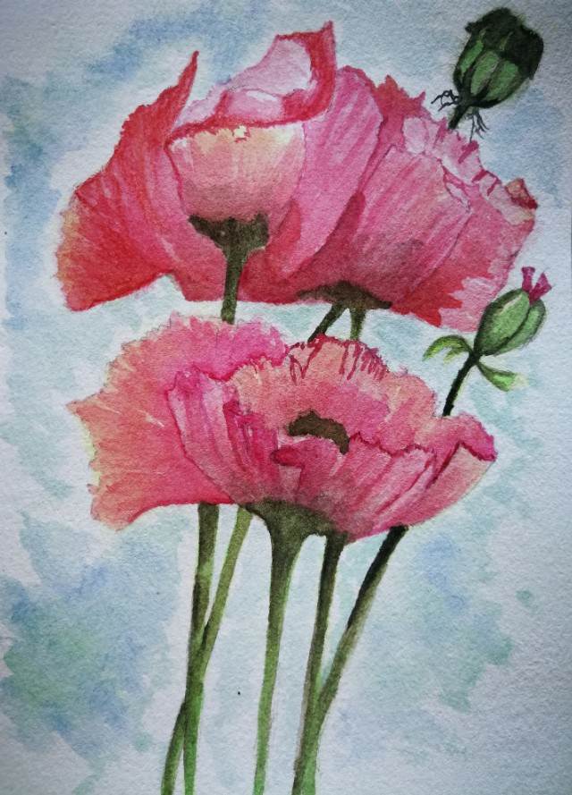 简单水彩小画
