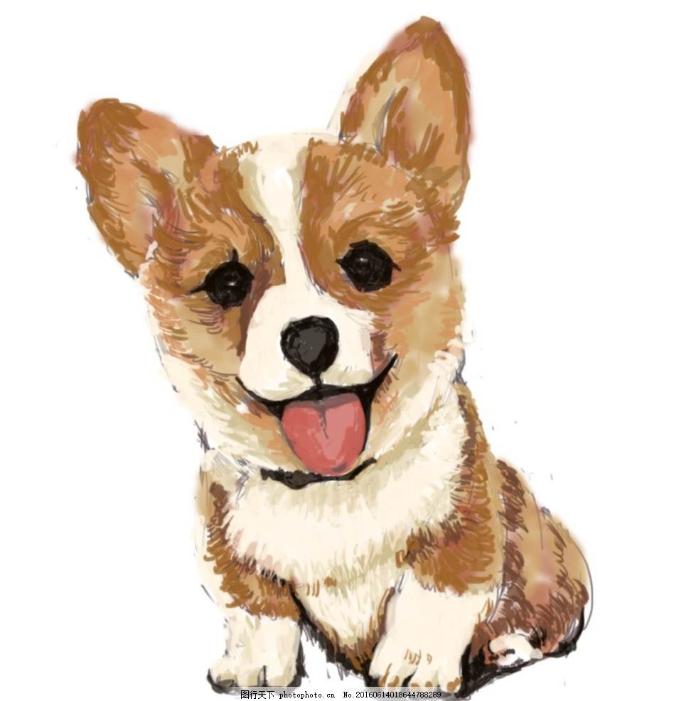 水彩画人物柯基