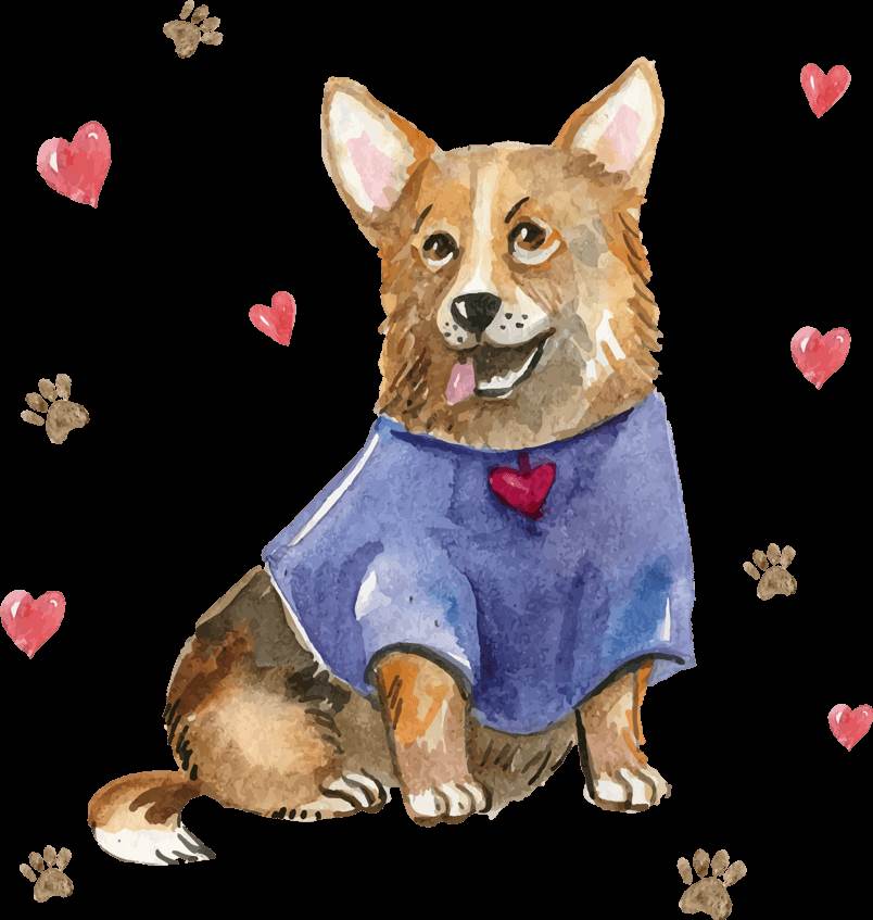 水彩画人物柯基