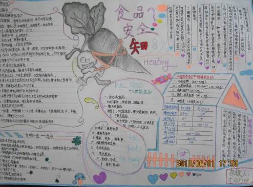 小学手抄报图片