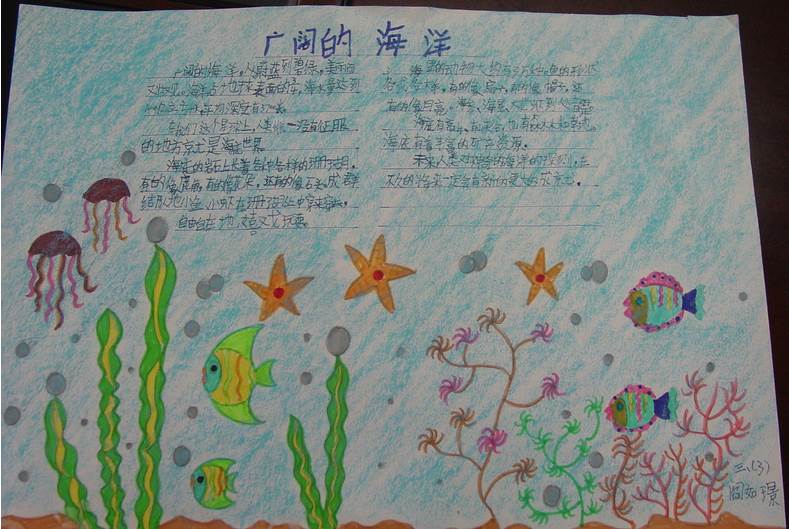关于海洋的手抄报