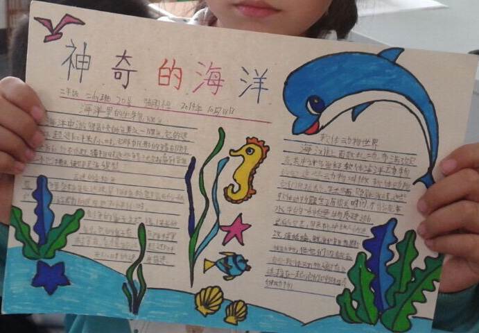 关于海洋的手抄报