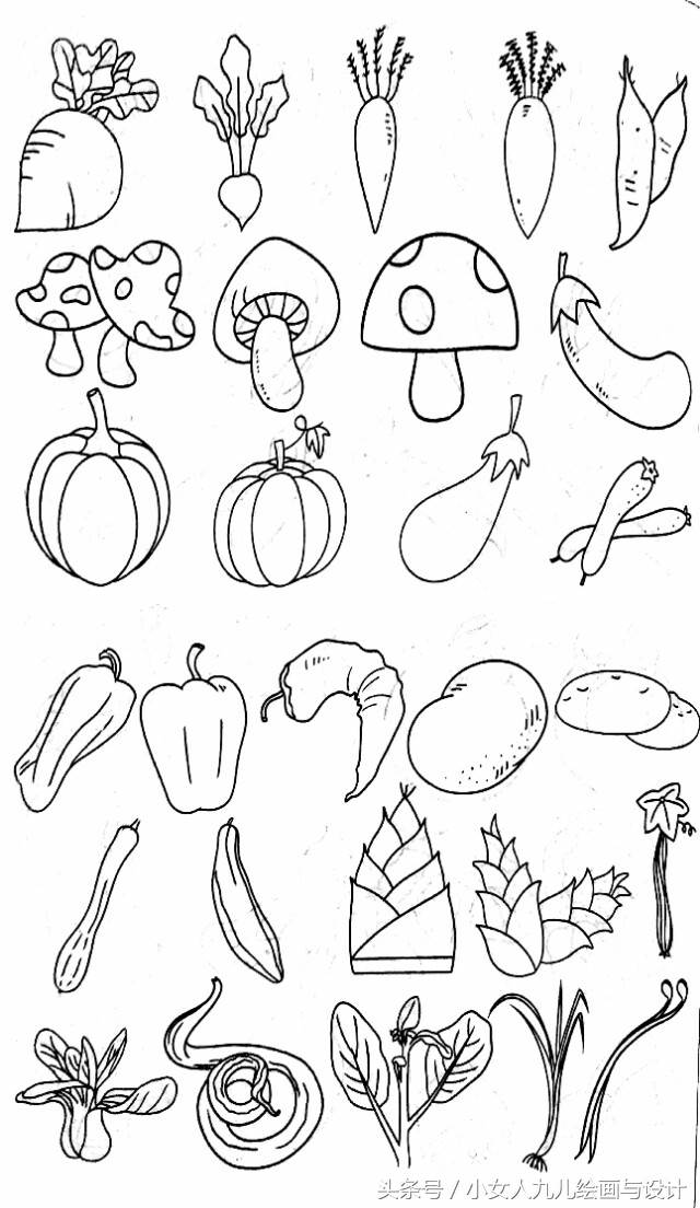 蔬菜简笔画