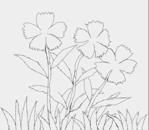 花草简笔画