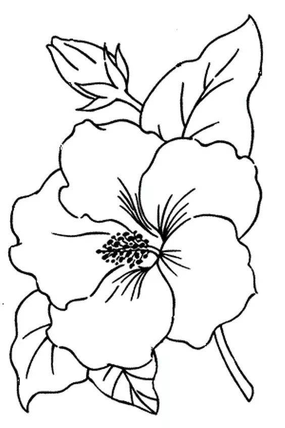 花草简笔画