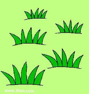 花草简笔画