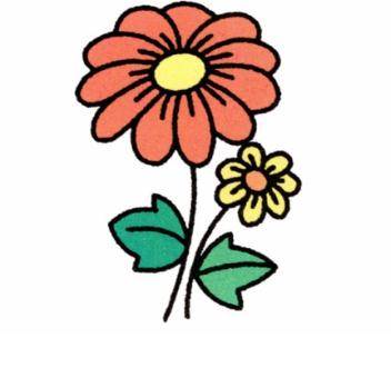 花草简笔画