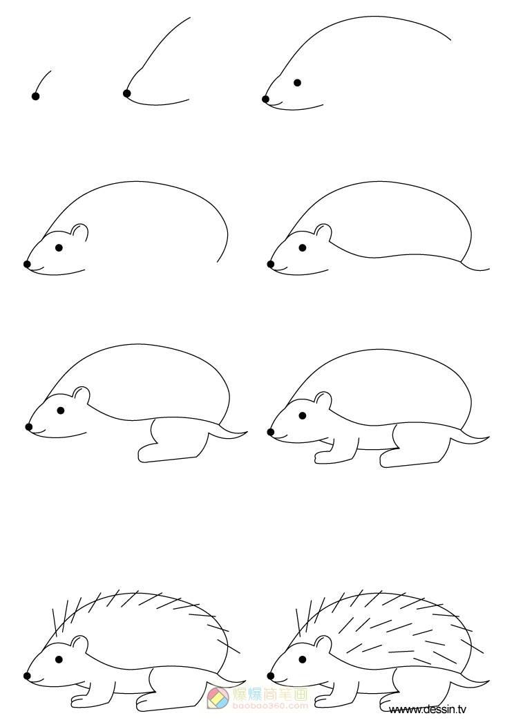 刺猬简笔画