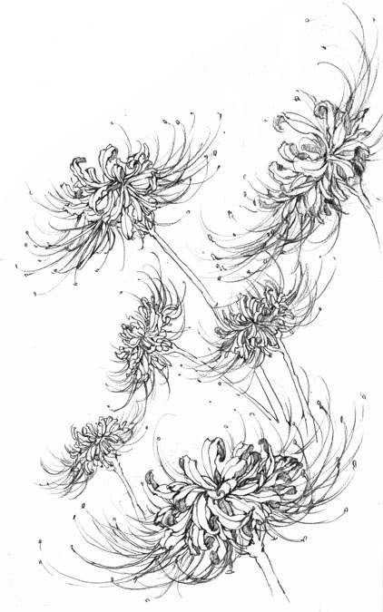 花草简笔画