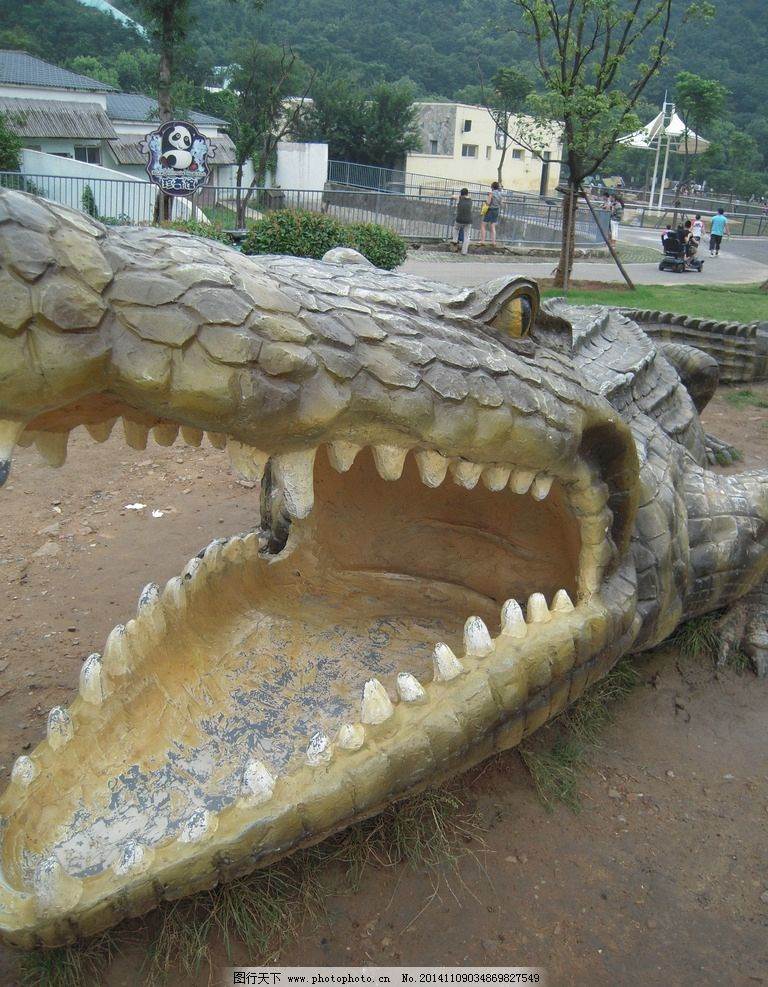 鳄鱼图片