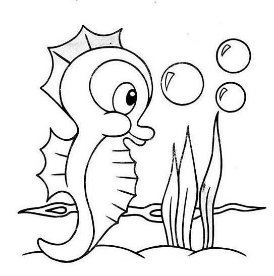 海底世界的画