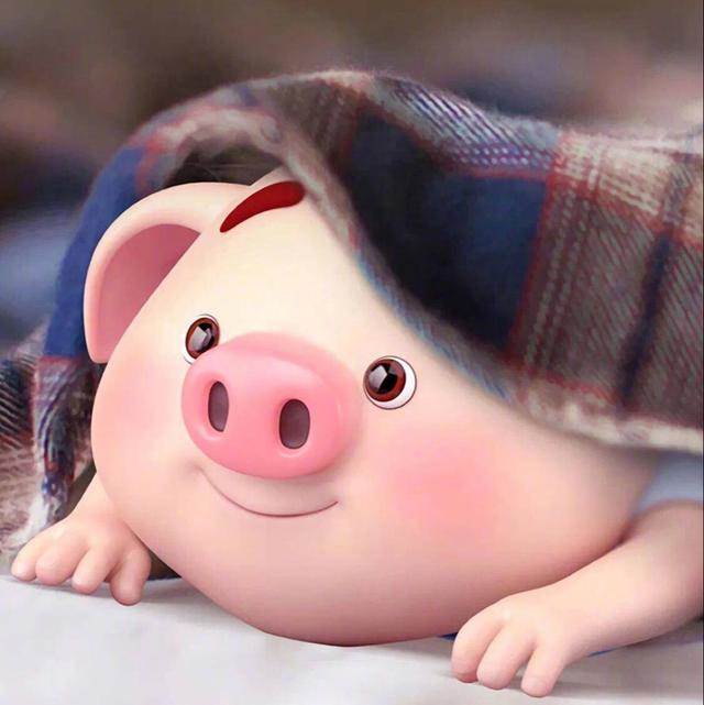 猪卡通图片