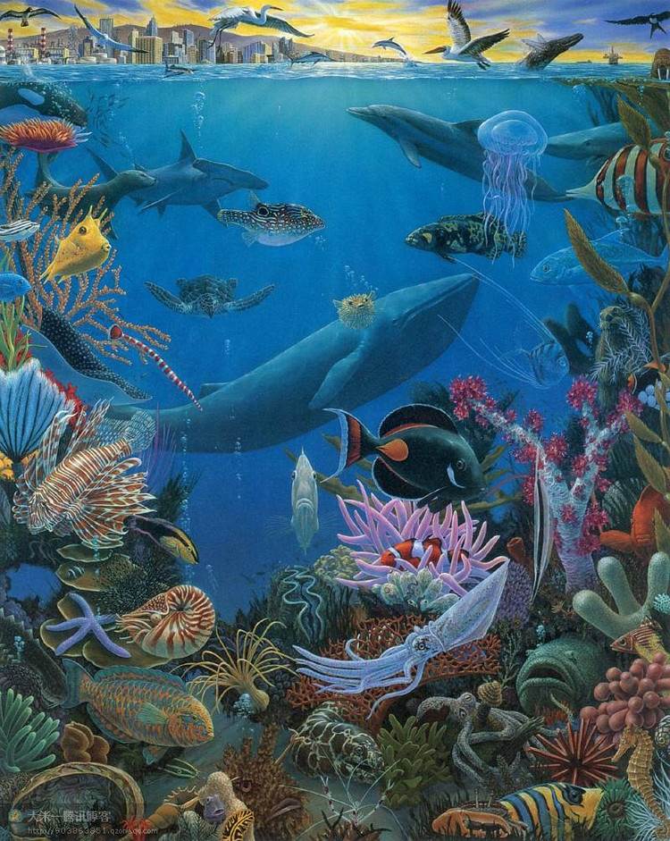 海底世界的画
