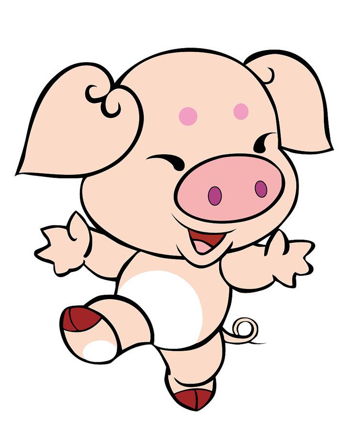 猪卡通图片
