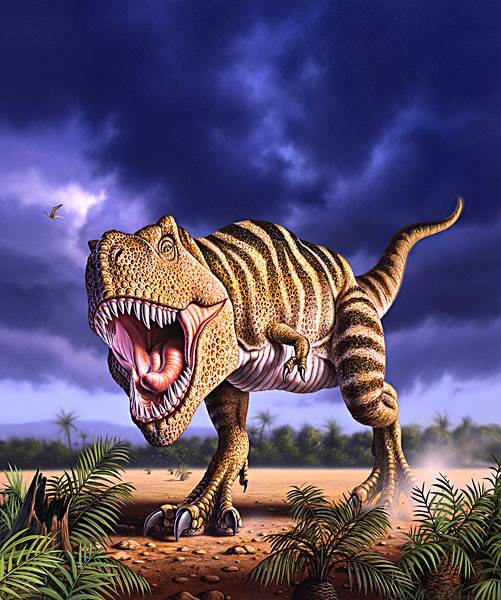 霸王龙图片大全