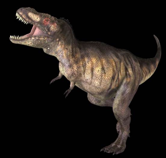 霸王龙图片大全