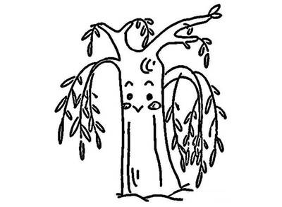 柳树图片儿童画