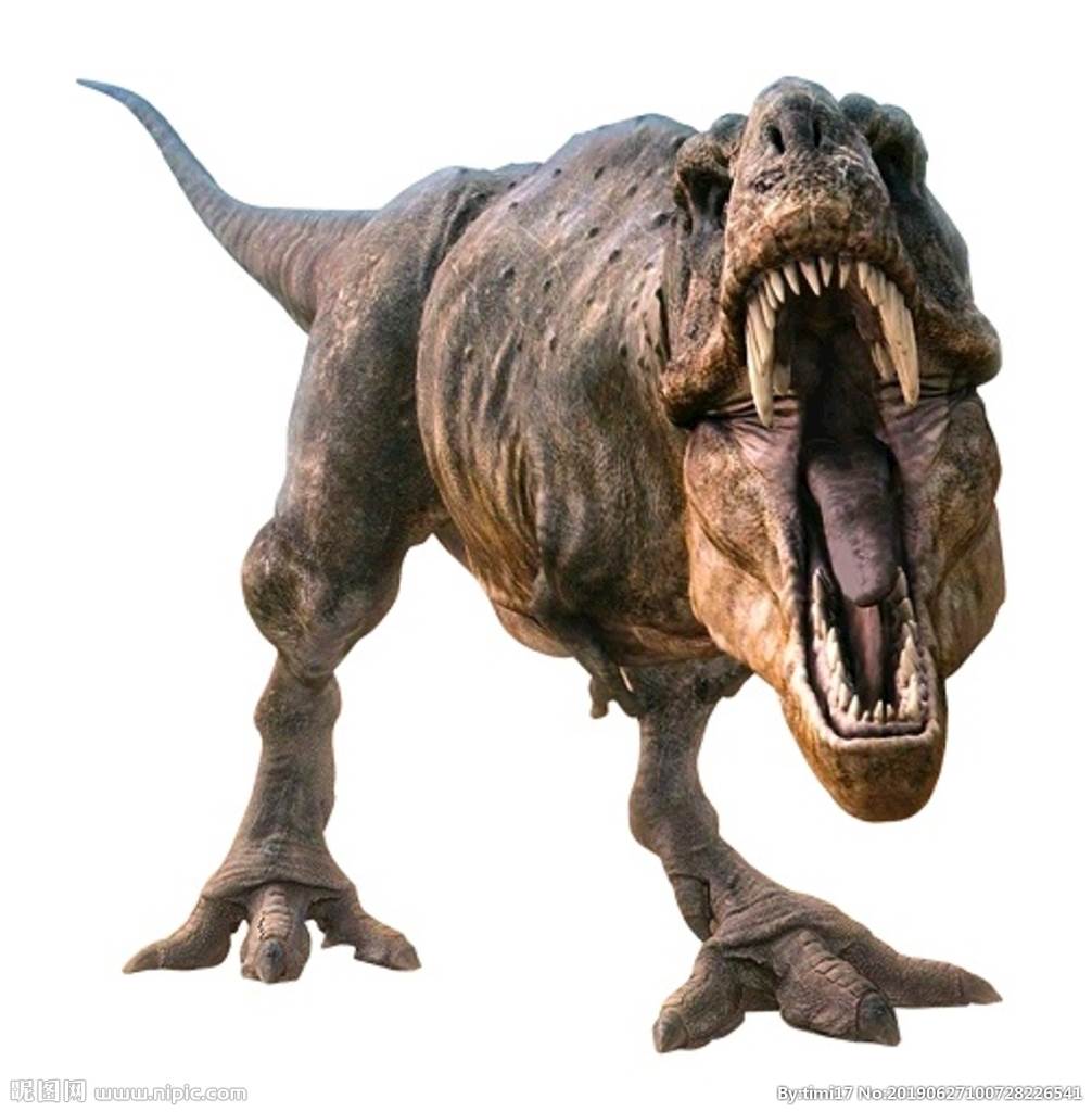 霸王龙图片大全